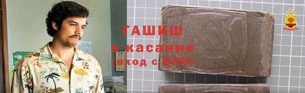индика Горно-Алтайск