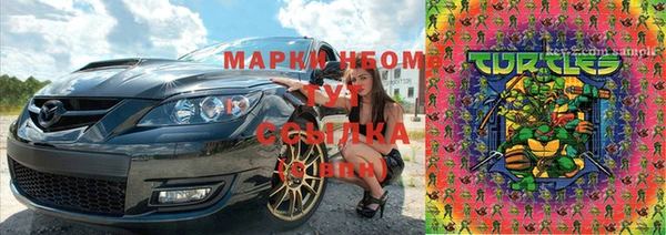 хмурый Горняк