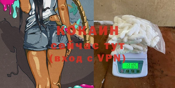 индика Горно-Алтайск
