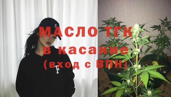 хмурый Горняк