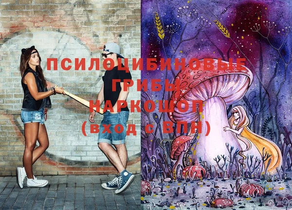 хмурый Горняк