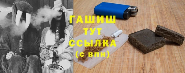 хмурый Горняк