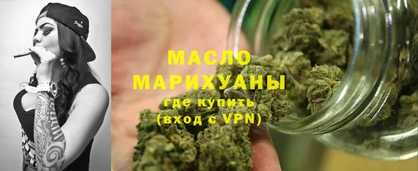 индика Горно-Алтайск